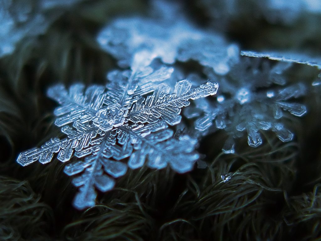 beautiful-snowflakes-designs