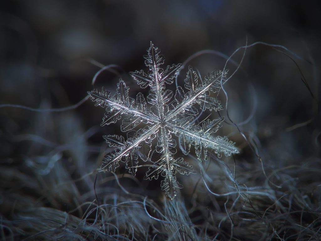 closeup-photography-of-snowflakes