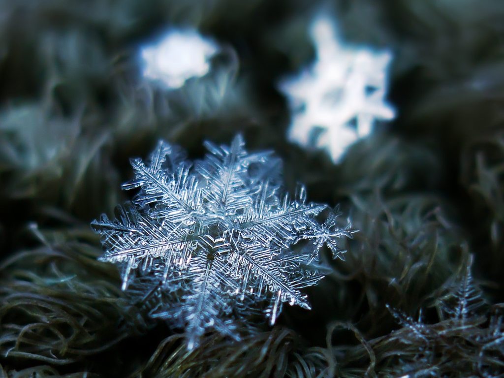 amazing-delicate-snowflake
