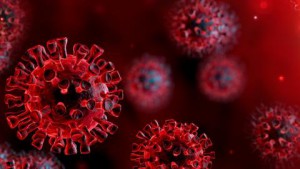 ebio-koronavirus_01.jpg