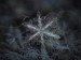 closeup-photography-of-snowflakes