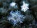 amazing-delicate-snowflake